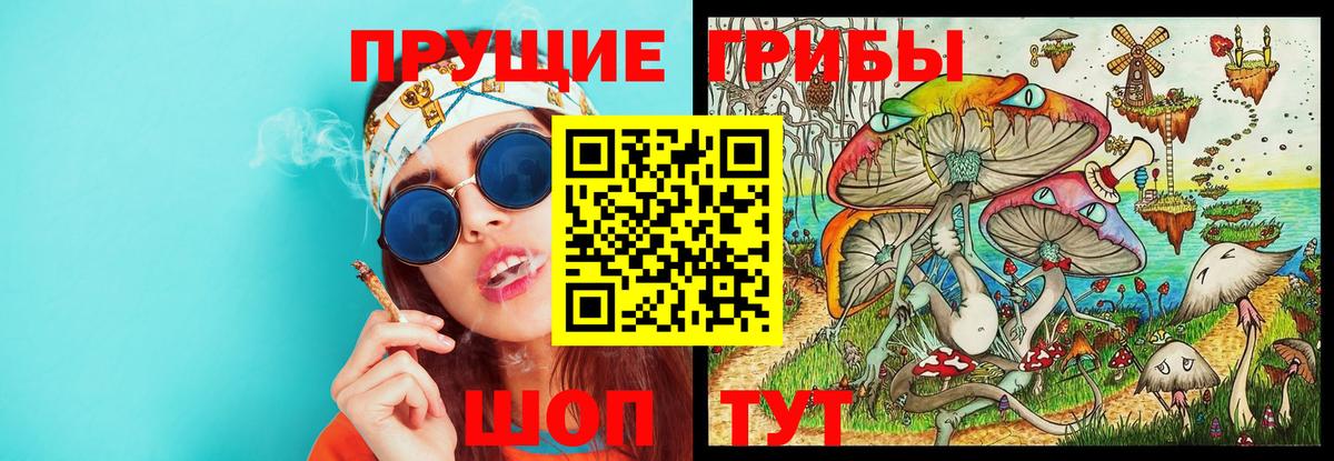 Галлюциногенные грибы GOLDEN TEACHER Славгород